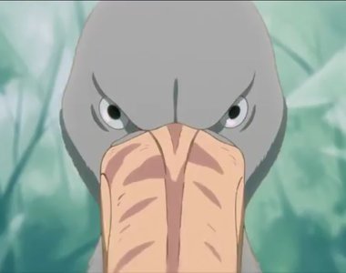 動畫界傳說《出現鯨頭鸛的動畫就是神作》請先解釋這到底是什麼動物……