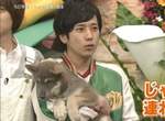 《可愛犬系男星》網友心目中比柴柴二宮更有狗狗感覺的男星是...... 《可愛犬系男星》網友心目中比柴柴二宮更有狗狗感覺的男星是......