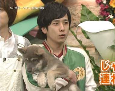 《可愛犬系男星》網友心目中比柴柴二宮更有狗狗感覺的男星是......