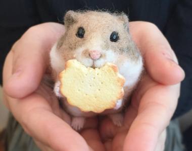 超逼真《激萌羊毛氈》可愛的倉鼠與小松鼠～吃餅乾的樣子太犯規了