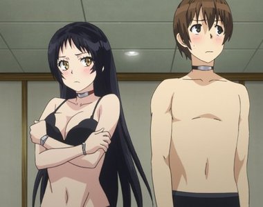 《動畫BD光碟福袋》有興趣想看後續就再花錢買吧