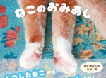 《貓後腳寫真集》繼貓手手之後又一特寫喵部位的毛呼呼寫真集 《貓後腳寫真集》繼貓手手之後又一特寫喵部位的毛呼呼寫真集