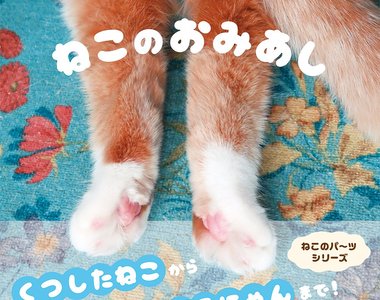《貓後腳寫真集》繼貓手手之後又一特寫喵部位的毛呼呼寫真集