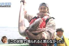 《TOKIO捕獲活化石.皺鰓鯊》意外連結哥吉拉上陸東京灣的理由ww 《TOKIO捕獲活化石.皺鰓鯊》意外連結哥吉拉上陸東京灣的理由ww