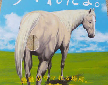 《高難度拍照看板》到底該用什麼表情把臉放進屁眼裡ww（喂）