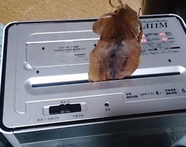 《碎紙機絞碎魷魚乾好好吃》雖然很想說不要玩食物..但海苔放進碎紙機好像很方便(咦)