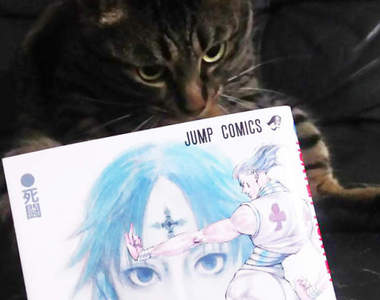 《獵人最強角色20選》隨著連載再開粉絲們又來投票啦