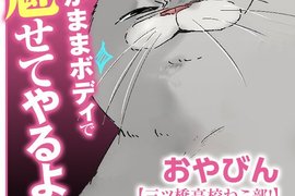 四大天喵《高校貓咪社》每天都是摸撫摸撫的治癒時光 四大天喵《高校貓咪社》每天都是摸撫摸撫的治癒時光