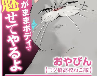 四大天喵《高校貓咪社》每天都是摸撫摸撫的治癒時光