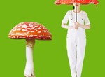 一起變成香菇吧《毒蠅傘造型傘》看起來有著童話的可愛感 一起變成香菇吧《毒蠅傘造型傘》看起來有著童話的可愛感