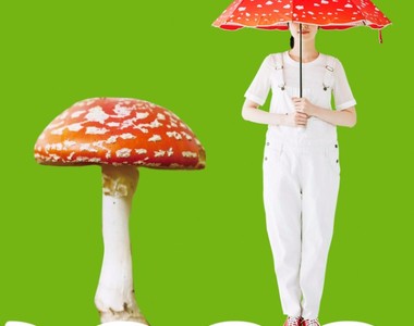 一起變成香菇吧《毒蠅傘造型傘》看起來有著童話的可愛感