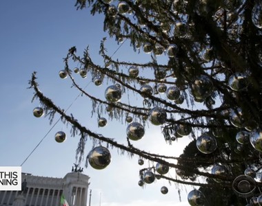 羅馬《超致鬱聖誕樹》看到樹好像看到我們的未來一樣......