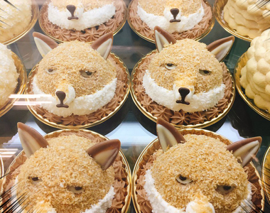 《甜點冷門動物園》藏狐蛋糕完美呈現眼神死的精隨www