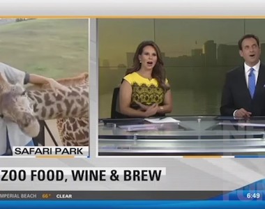 2016《現場直播出包合輯》被長頸鹿性騷擾這種事誰想得到