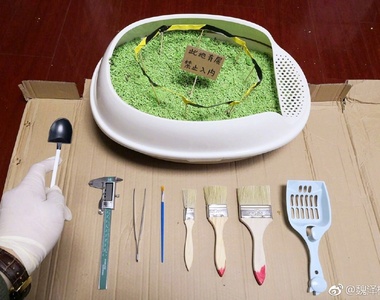 噁心注意《貓屎化石》這貓奴真的太無聊了啦XDD