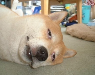 拖延症必看《打起精神的作法》強迫自己提起幹勁反而造成反效果?