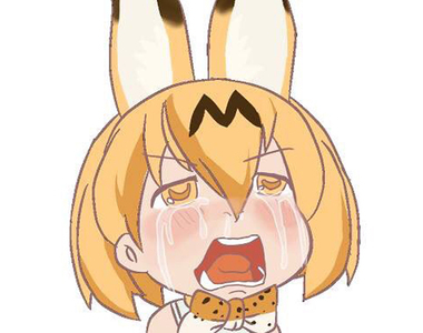 動物朋友難民《五體投地感謝神監督做出12.1話》下週終究要面對現實……