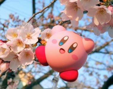 《星之卡比賞櫻秀》櫻花盛開的當下就該帶個暖心的夥伴