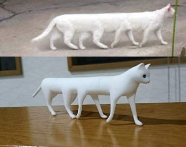 超有梗模型玩具《全景拍攝的貓》要多長～就有多長～還有超短貓XD