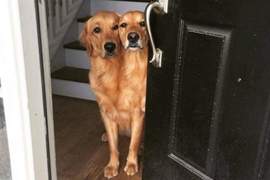 《回放率超高的照片》眼睛揉100次也無法確認有沒有看錯