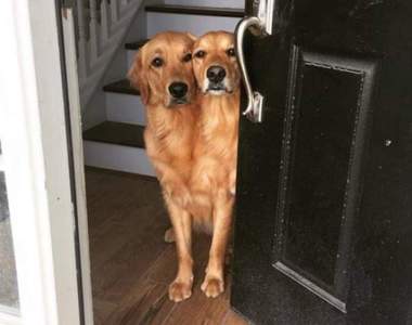 《回放率超高的照片》眼睛揉100次也無法確認有沒有看錯