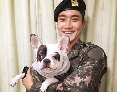 《SJ始源家飼養的狗咬死人》這隻狗一次毀了兩個人....