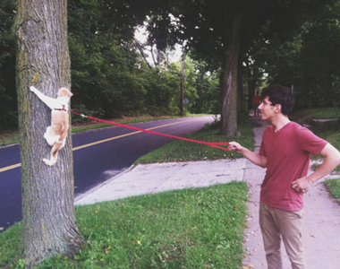 SNS上《關於貓的爆笑PO文》這些文章讓貓奴笑個沒完