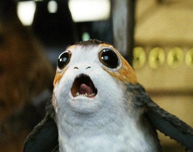 《星際大戰８》吉祥物「波波」誕生原因是拍攝地點滿山滿谷的海鸚