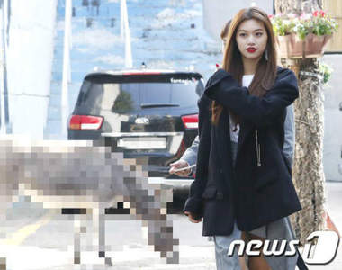 神奇的畫面誕生了《當女星跟驢子出現在同一張照片裡》大馬路怎麼會出現牠...