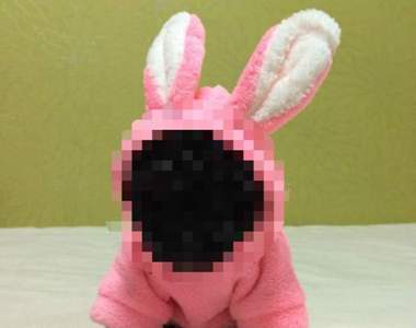 韓網友一語道破《超淚笑的寵物穿衣理由》這理由超級說服人ㅋㅋ