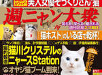 開腿露毛全都來《貓的封袋寫真》週刊風格的貓雜誌正式登場 開腿露毛全都來《貓的封袋寫真》週刊風格的貓雜誌正式登場