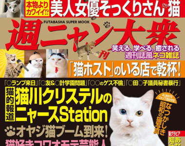 開腿露毛全都來《貓的封袋寫真》週刊風格的貓雜誌正式登場