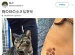 《雨天小確幸》貓星人留下期間限定紀念品 《雨天小確幸》貓星人留下期間限定紀念品