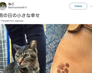 《雨天小確幸》貓星人留下期間限定紀念品