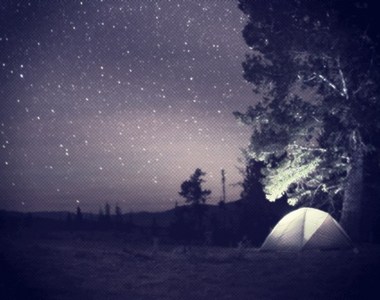 《森林裡的鬼故事》這麼多人都聽到了尖叫聲......