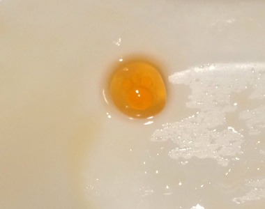 《鮭魚卵裡有肉球》集滿七顆可以召喚貓神出來實現所有願望嗎？