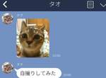《跟貓咪傳LINE的結果》那從今天開始訓練毛小孩用手機好惹ww 《跟貓咪傳LINE的結果》那從今天開始訓練毛小孩用手機好惹ww