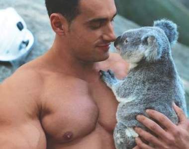 每年深夜最期待的《2018猛男消防員月曆出爐》這次不只有肌肉還有無尾熊賣萌唷