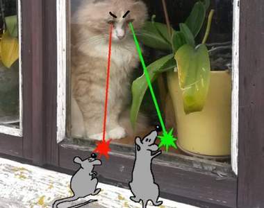 《想像力無極限的寵物塗鴉》一筆畫下喵星人就變大神了