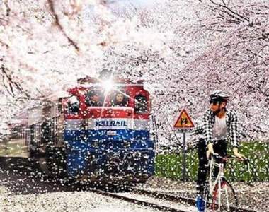 閃開讓專業的來《認真過頭結果大爆笑的PS照》仔細想想不P反而好點ww