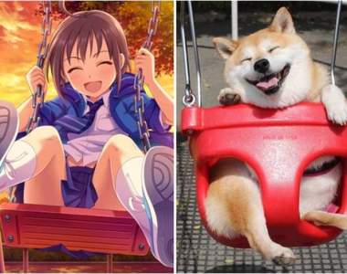 構圖相同《偶像大師灰姑娘...柴犬?(笑)》twitter瘋傳柴犬萌照