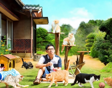 《貓咪收集 真人電影》原來是貓咪玩具廣告~還以為是電影預告呢ww