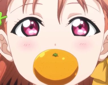 日本新年冷知識《鏡餅上的橘色水果叫什麼》柑橘類為什麼如此複雜……