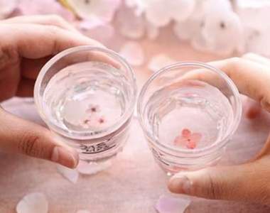 燒酒也來賞櫻《櫻花燒酒杯》開賣啦~賞櫻就是要用櫻花杯喝酒嘛
