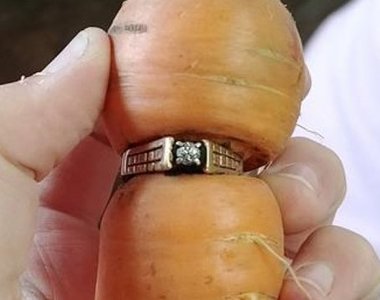 《奇蹟找回搞丟13年的婚戒》居然是在紅蘿蔔身上找到的