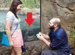 《亂入求婚現場的河馬Fiona》結果因為太萌了被新人原諒ww 《亂入求婚現場的河馬Fiona》結果因為太萌了被新人原諒ww
