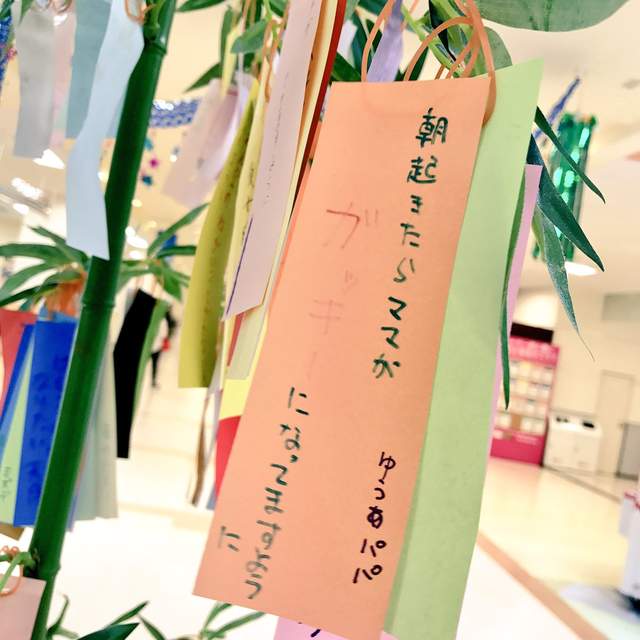 慣例惡搞 日本七夕許願短冊亂亂寫 大家不會給牛郎織女那對現充好臉色