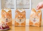 超萌《柴犬送禮紙袋》重現那可愛萌萌的小耳朵 超萌《柴犬送禮紙袋》重現那可愛萌萌的小耳朵