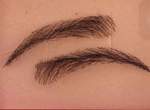 連眉毛也有假髮《眉毛假髮Brow wigs》用真髮做的眉毛可以申請用自己的頭髮做嗎......