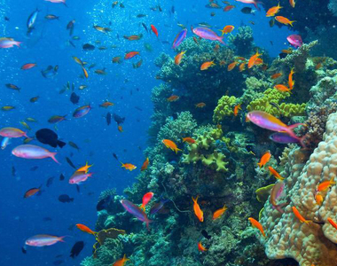 《2017正能量新聞回顧》樂觀一點 我們是有在進步的～